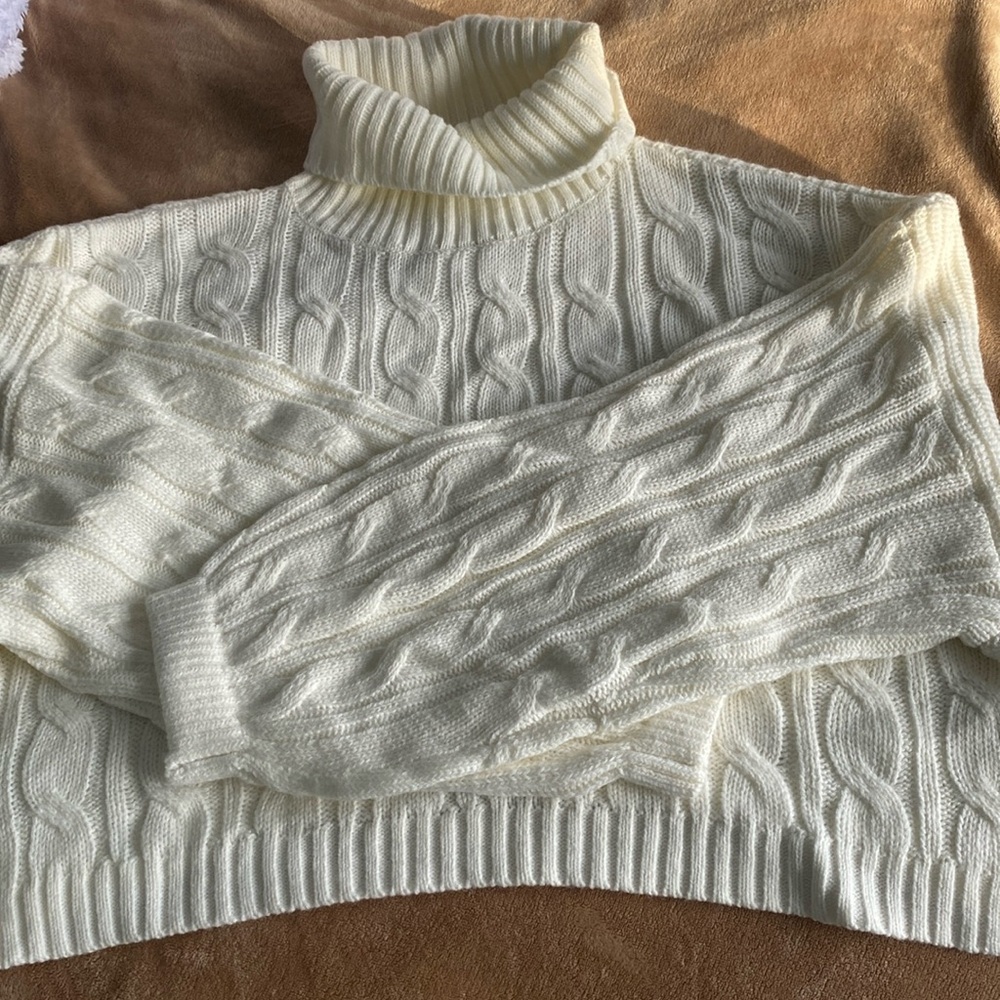 Cropped knit turtleneck